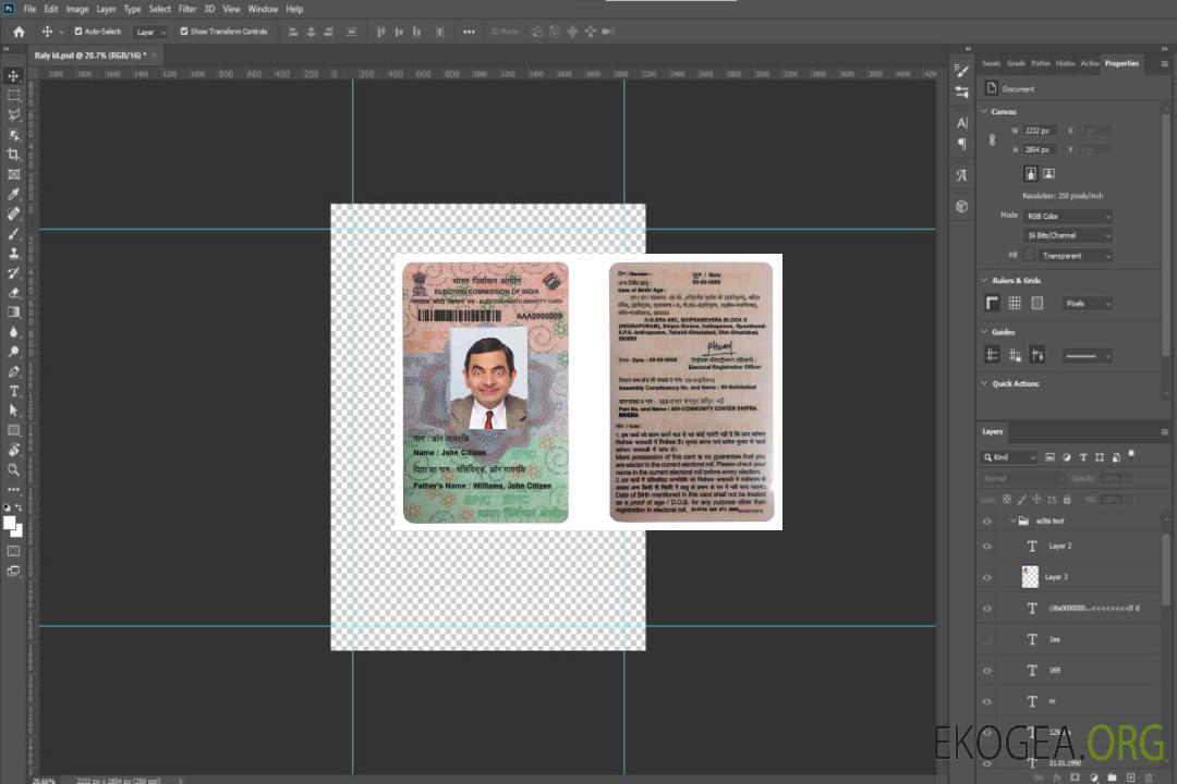 Carte d'identité électorale en Inde template